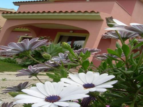 Ariedo Bed And Breakfast Capoterra Room photo